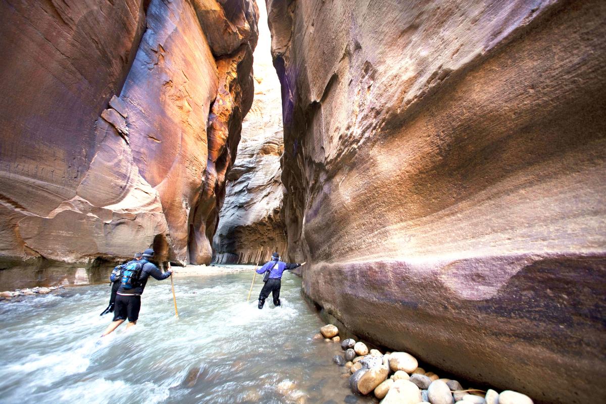 Hambik King of Tours BRYCE CANYON & ZION NATIONAL PARK